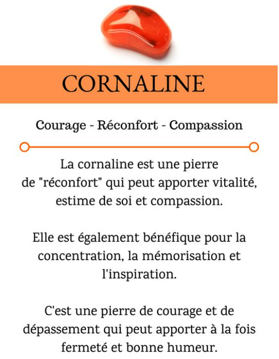 Bracelet pierre naturelle Cornaline – Bijou femme doré à l’or fin – Fermoir acier inoxydable – Cadeau énergétique lithothérapie